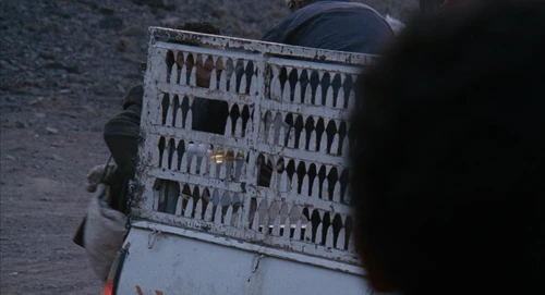 Still frame 66 from Babel (2006) directed by Alejandro G. Iñárritu