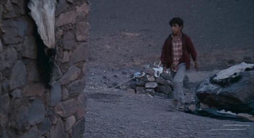 Still frame 67 from Babel (2006) directed by Alejandro G. Iñárritu