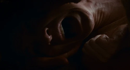 Still frame 102 from Babel (2006) directed by Alejandro G. Iñárritu