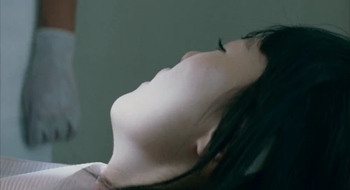 Still frame 106 from Babel (2006) directed by Alejandro G. Iñárritu