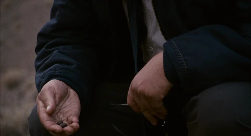 Still frame 117 from Babel (2006) directed by Alejandro G. Iñárritu