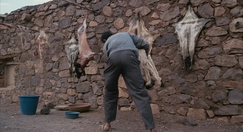 Still frame 119 from Babel (2006) directed by Alejandro G. Iñárritu