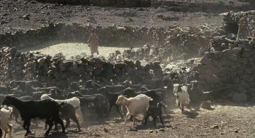 Still frame 10 from Babel (2006) directed by Alejandro G. Iñárritu