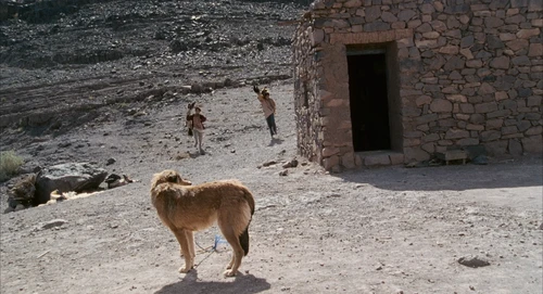 Still frame 125 from Babel (2006) directed by Alejandro G. Iñárritu