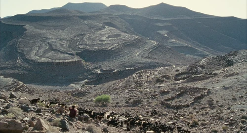 Still frame 11 from Babel (2006) directed by Alejandro G. Iñárritu