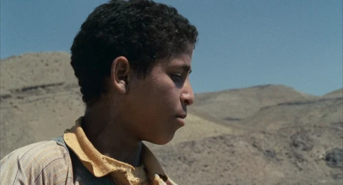 Still frame 16 from Babel (2006) directed by Alejandro G. Iñárritu