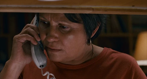 Still frame 22 from Babel (2006) directed by Alejandro G. Iñárritu