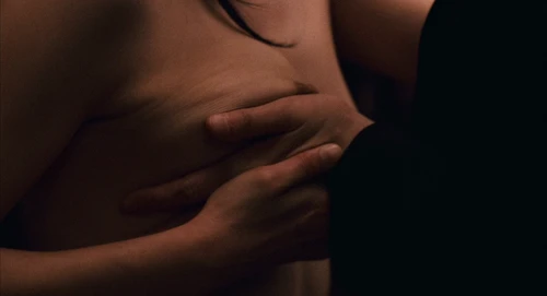 Still frame 207 from Babel (2006) directed by Alejandro G. Iñárritu