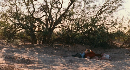 Still frame 213 from Babel (2006) directed by Alejandro G. Iñárritu