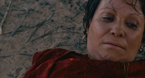 Still frame 214 from Babel (2006) directed by Alejandro G. Iñárritu