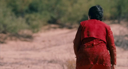 Still frame 215 from Babel (2006) directed by Alejandro G. Iñárritu