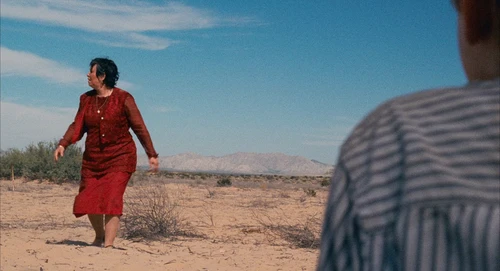 Still frame 216 from Babel (2006) directed by Alejandro G. Iñárritu