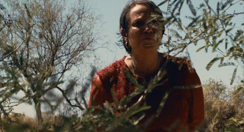 Still frame 227 from Babel (2006) directed by Alejandro G. Iñárritu
