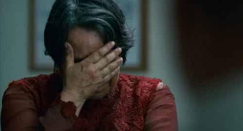 Still frame 246 from Babel (2006) directed by Alejandro G. Iñárritu