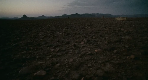 Still frame 248 from Babel (2006) directed by Alejandro G. Iñárritu