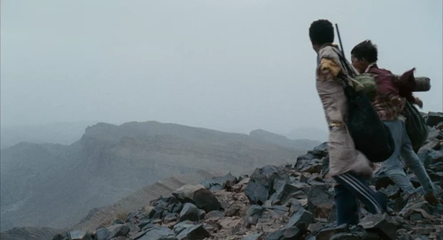 Still frame 249 from Babel (2006) directed by Alejandro G. Iñárritu