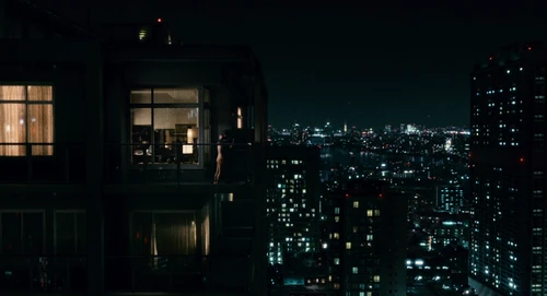 Still frame 269 from Babel (2006) directed by Alejandro G. Iñárritu