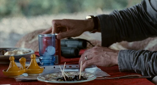 Still frame 40 from Babel (2006) directed by Alejandro G. Iñárritu