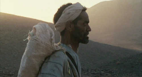 Still frame 1 from Babel (2006) directed by Alejandro G. Iñárritu