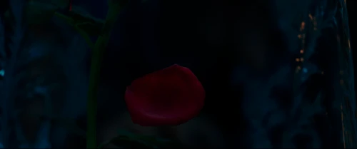 Still frame 78 from Beauty and the Beast (2017) directed by Bill Condon