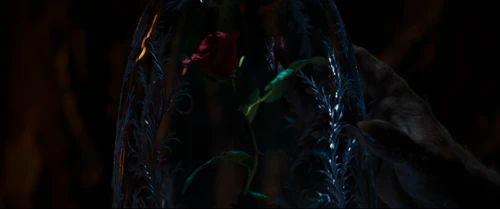 Still frame 9 from Beauty and the Beast (2017) directed by Bill Condon