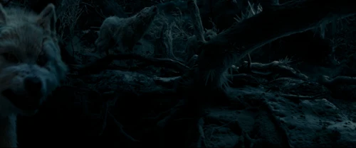 Still frame 104 from Beauty and the Beast (2017) directed by Bill Condon