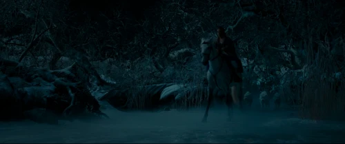 Still frame 105 from Beauty and the Beast (2017) directed by Bill Condon
