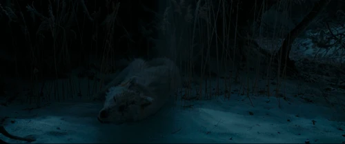 Still frame 106 from Beauty and the Beast (2017) directed by Bill Condon
