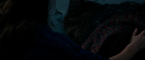 Still frame 107 from Beauty and the Beast (2017) directed by Bill Condon