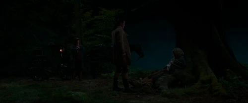 Still frame 112 from Beauty and the Beast (2017) directed by Bill Condon