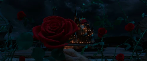 Still frame 1 from Beauty and the Beast (2017) directed by Bill Condon
