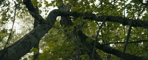Still frame 71 from Becky (2020) directed by Jonathan Milott, Cary Murnion