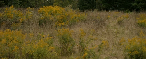 Still frame 99 from Becky (2020) directed by Jonathan Milott, Cary Murnion