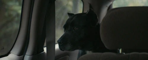 Still frame 16 from Becky (2020) directed by Jonathan Milott, Cary Murnion