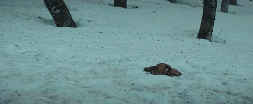 Still frame 3 from Biutiful (2010) directed by Alejandro G. Iñárritu