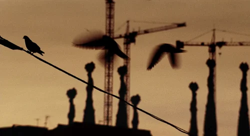 Still frame 134 from Biutiful (2010) directed by Alejandro G. Iñárritu