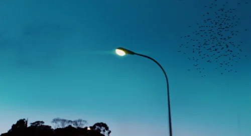 Still frame 175 from Biutiful (2010) directed by Alejandro G. Iñárritu