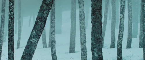 Still frame 264 from Biutiful (2010) directed by Alejandro G. Iñárritu