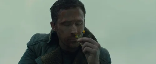 Still frame 10 from Blade Runner 2049 (2017) directed by Denis Villeneuve
