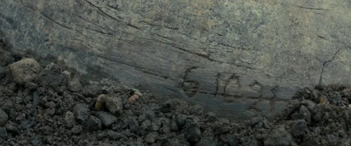 Still frame 55 from Blade Runner 2049 (2017) directed by Denis Villeneuve