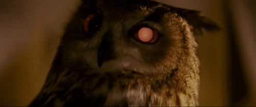 Still frame 97 from Blade Runner (1982) directed by Ridley Scott