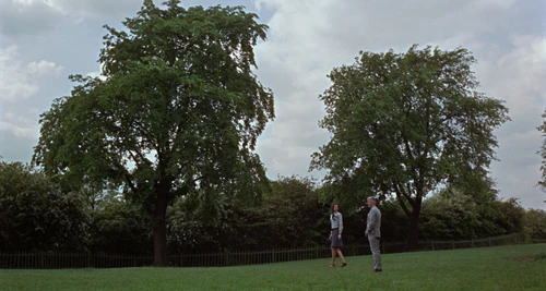 Still frame 78 from Blow-Up (1966) directed by Michelangelo Antonioni