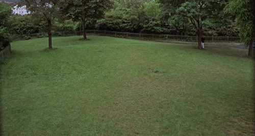 Still frame 79 from Blow-Up (1966) directed by Michelangelo Antonioni