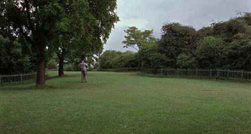 Still frame 80 from Blow-Up (1966) directed by Michelangelo Antonioni