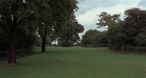 Still frame 87 from Blow-Up (1966) directed by Michelangelo Antonioni