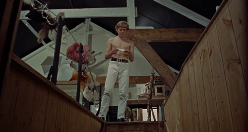 Still frame 141 from Blow-Up (1966) directed by Michelangelo Antonioni