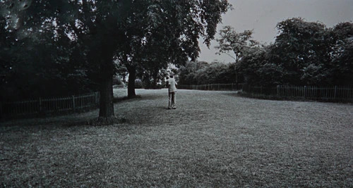 Still frame 149 from Blow-Up (1966) directed by Michelangelo Antonioni