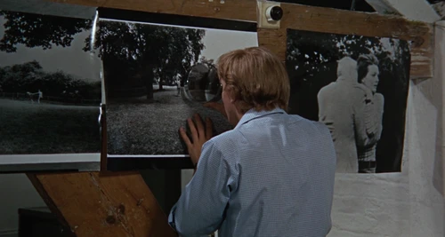 Still frame 154 from Blow-Up (1966) directed by Michelangelo Antonioni