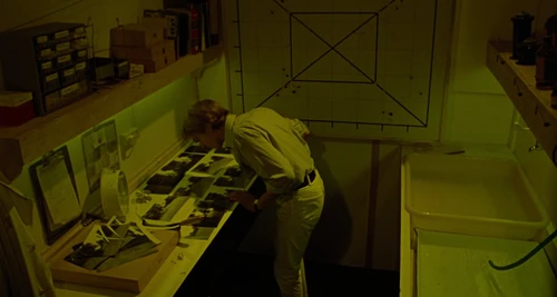 Still frame 156 from Blow-Up (1966) directed by Michelangelo Antonioni