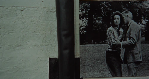 Still frame 157 from Blow-Up (1966) directed by Michelangelo Antonioni
